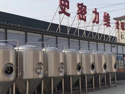 儋州精酿啤酒设备厂—市场规模与跨界新需求